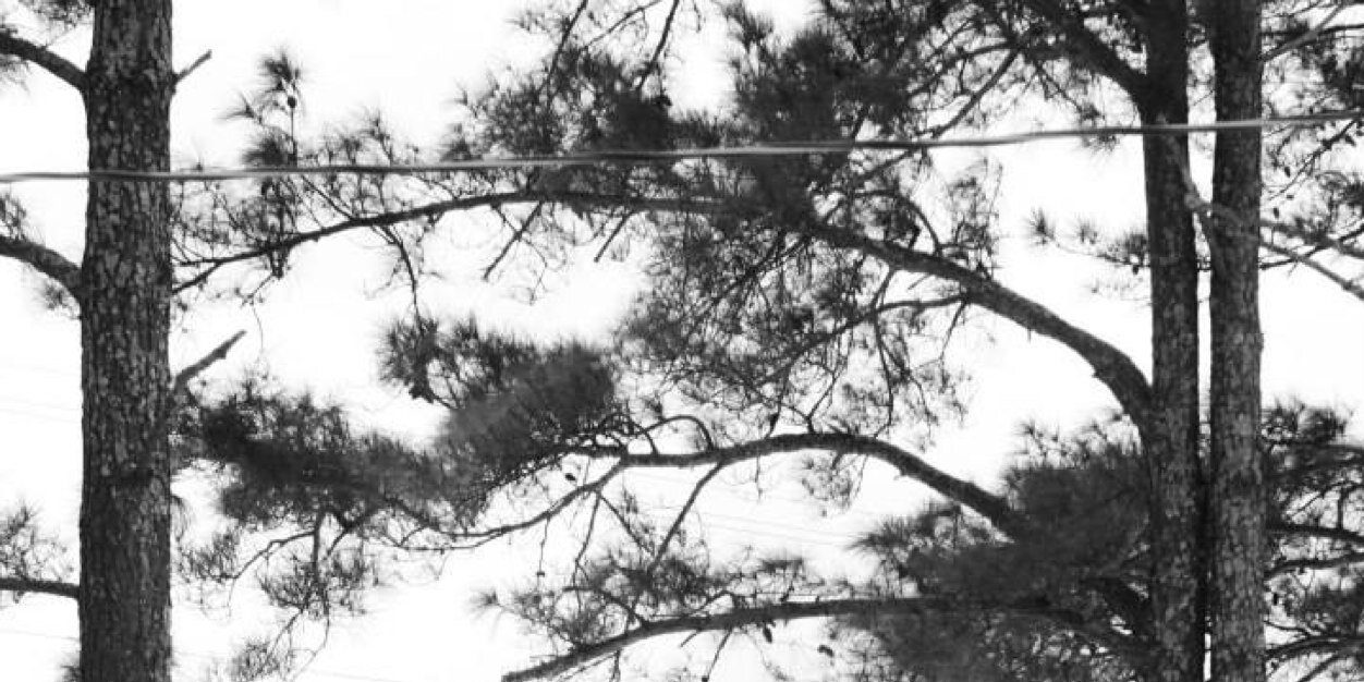 LauraAshleyyyy's profile banner image