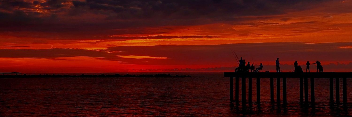 tarakci_5's profile banner image