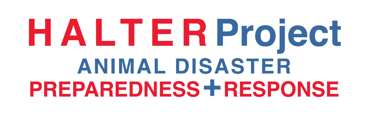 Halter Project banner