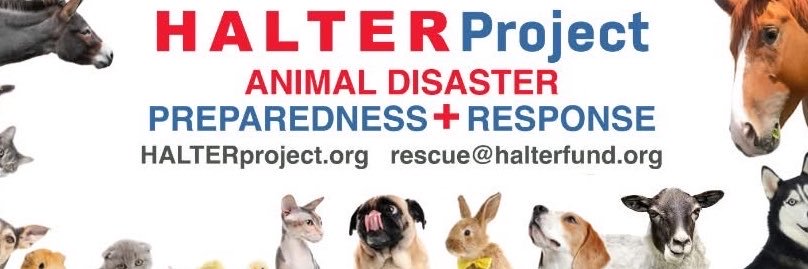 halterproject's profile banner image