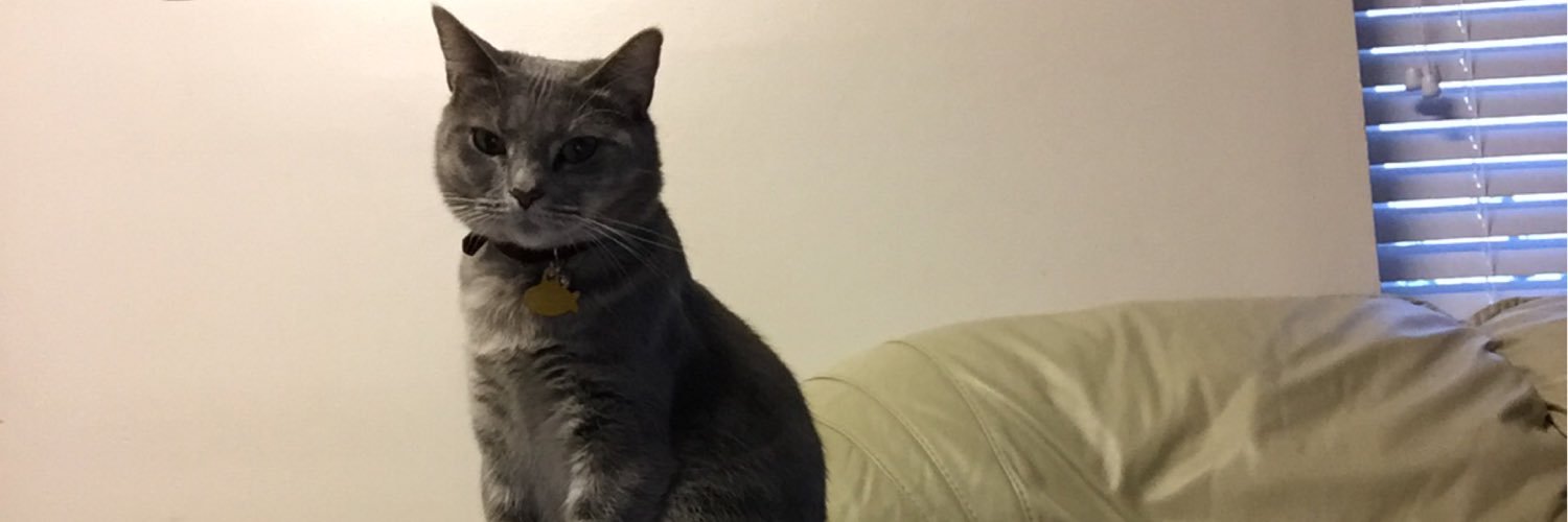 sammonsterr's profile banner image