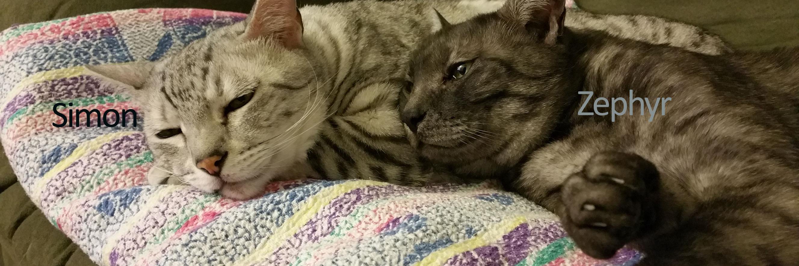 Zephyr 🌈💔👼 banner