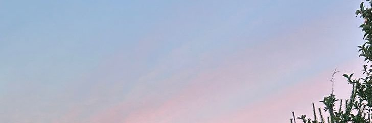 nymyty13's profile banner image