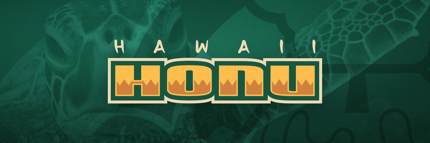 IceHAHonu's profile banner image