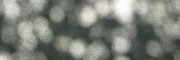 HollyJones15's profile banner image