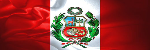 FalmecPeru's profile banner image