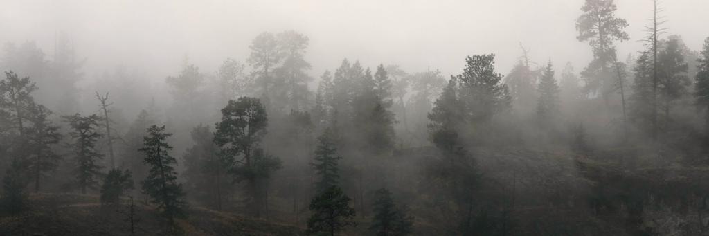 WordHoardPress's profile banner image
