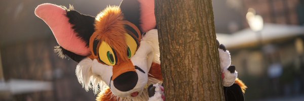 AkiFoxx Profile Banner