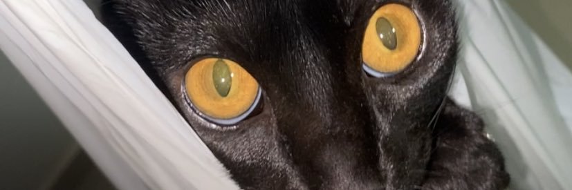 riccidebora7's profile banner image