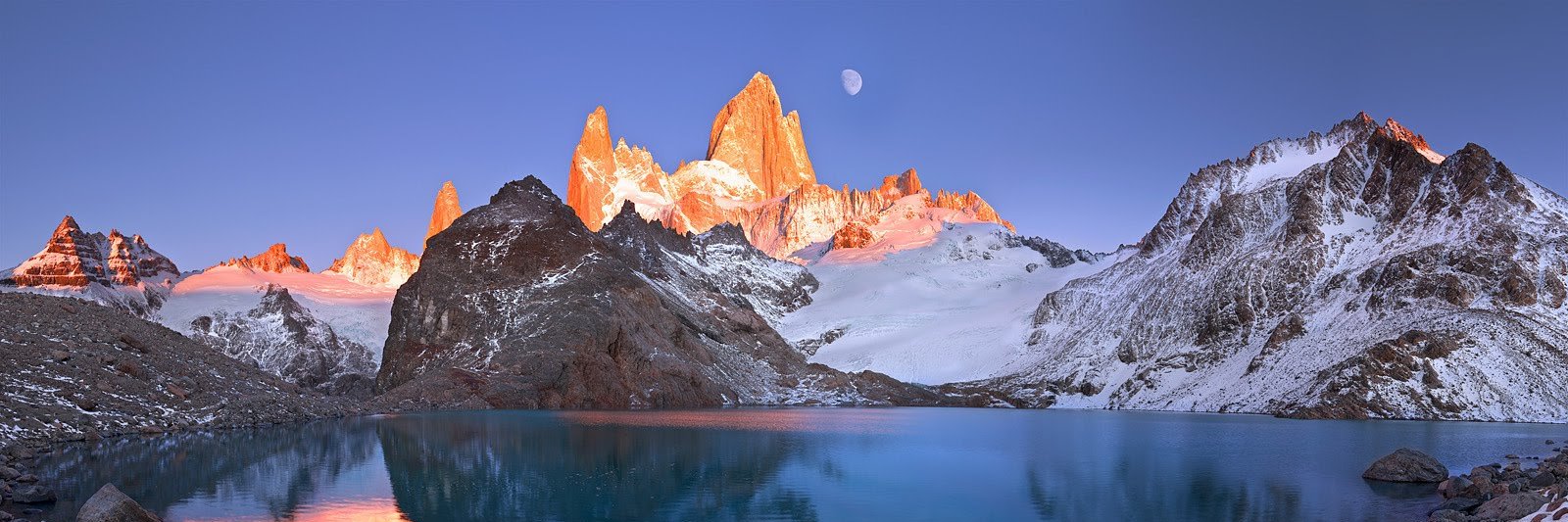 Quinn McPhail banner