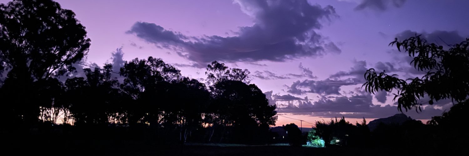 Carlynn de Waal-Smit banner
