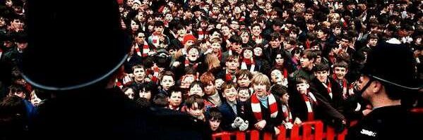 Realio banner