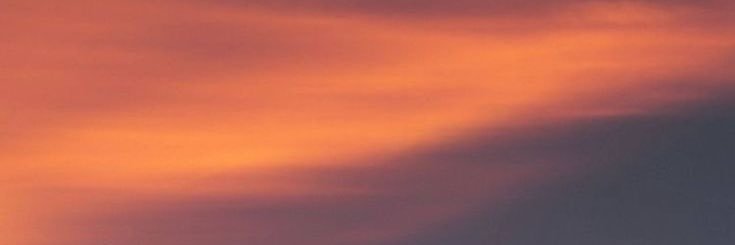 beatrizschnem's profile banner image
