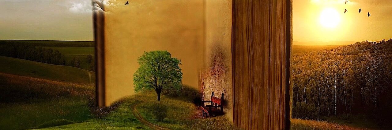 Enviedelecture's profile banner image