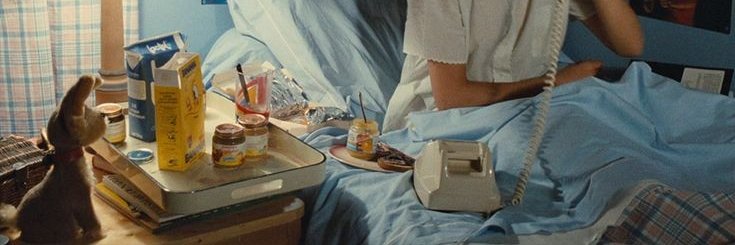 selaipandan's profile banner image