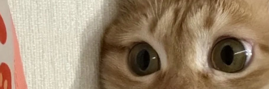 bekkque's profile banner image