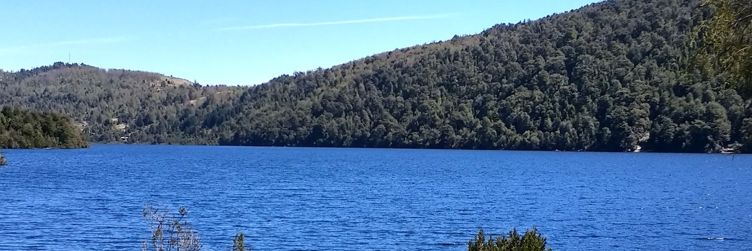 Diego Londoño banner