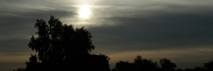 thaa1415's profile banner image