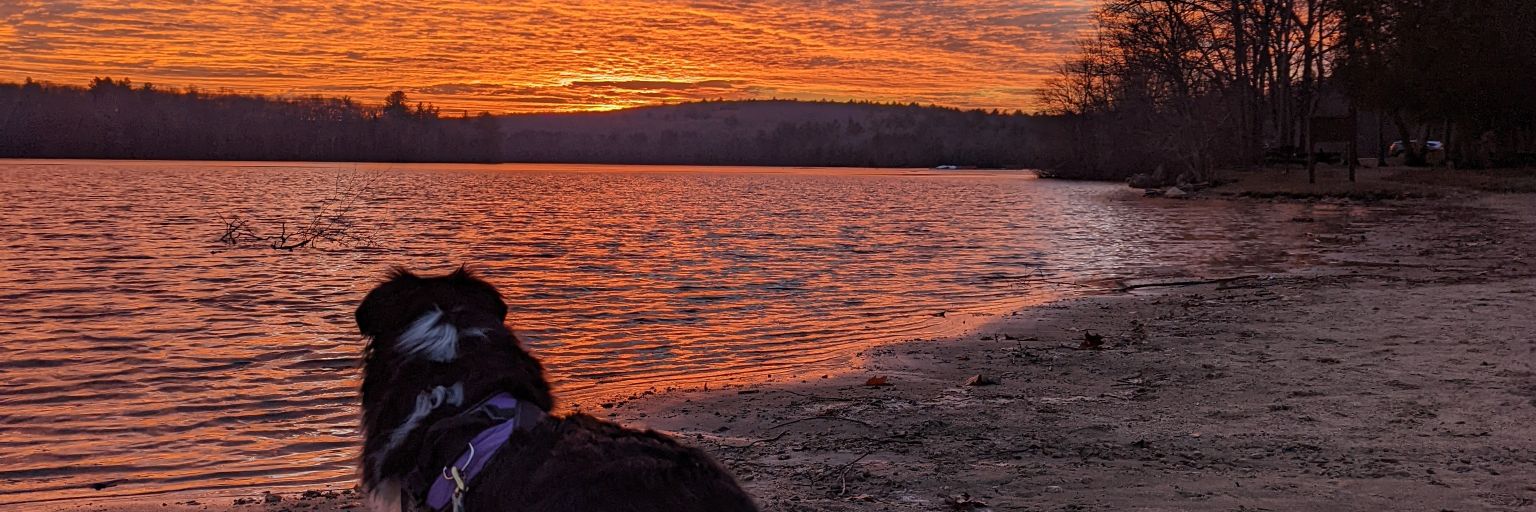 brandoncpeddle's profile banner image
