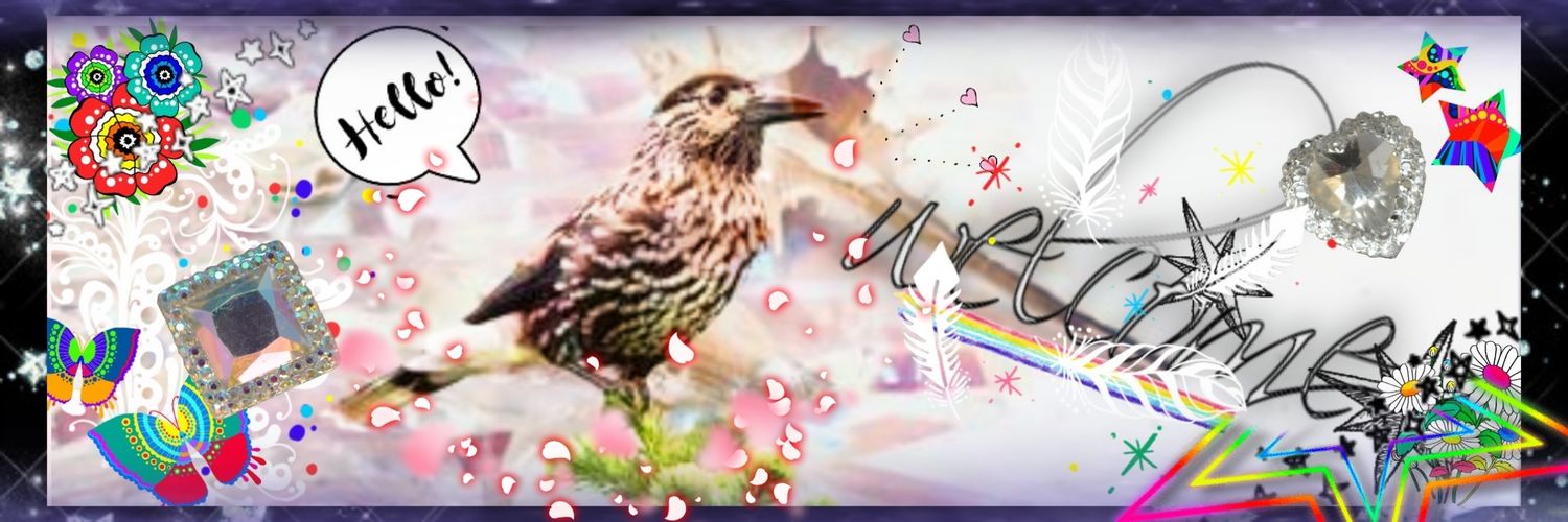 jackdawash's profile banner image