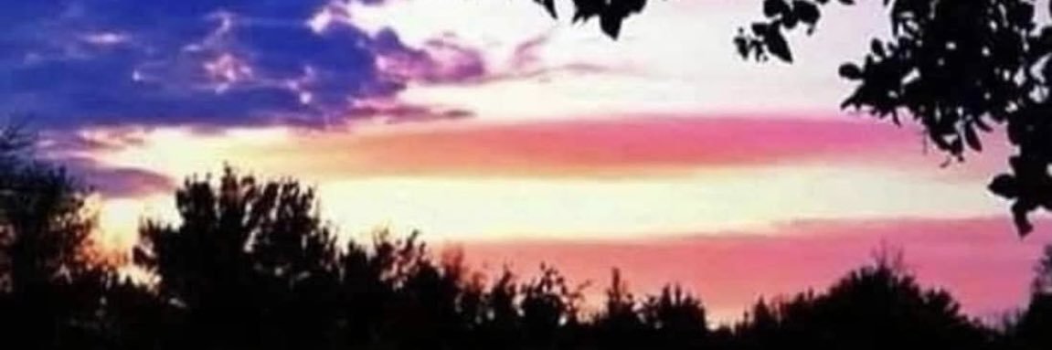 Peter Morlock Jr. banner