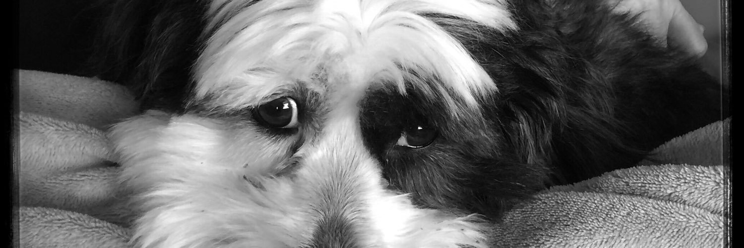 lmlye's profile banner image