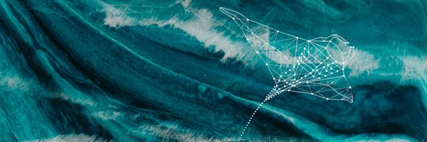 mohamedyamins Profile Banner
