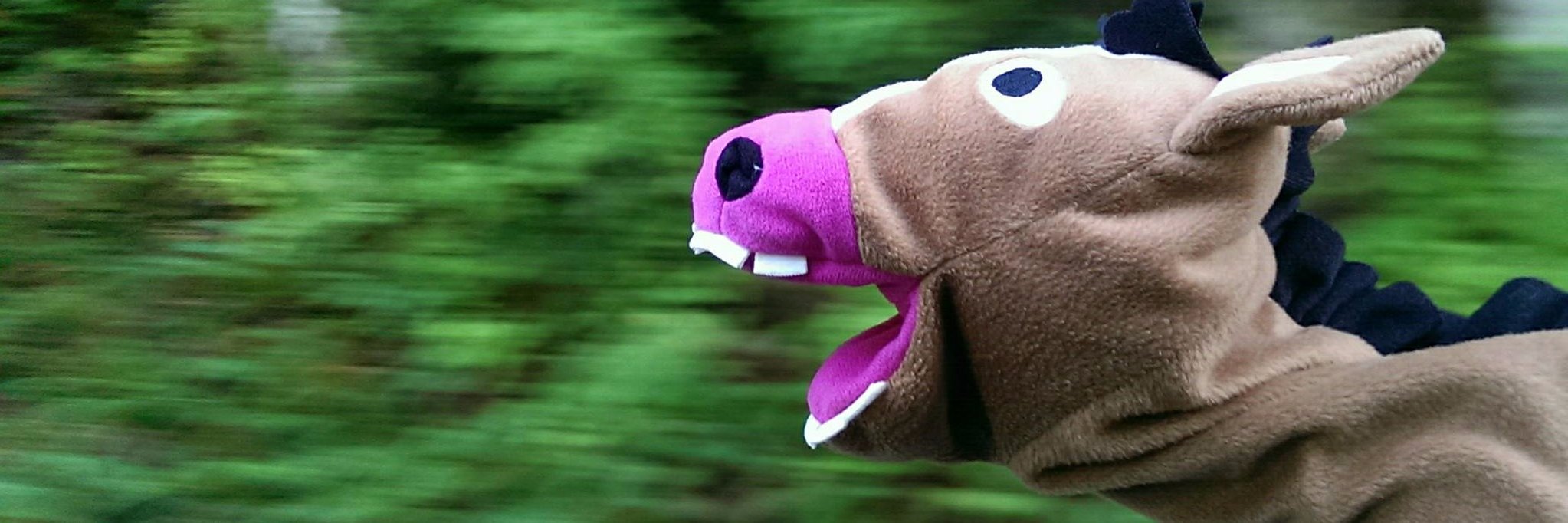 juliadakron's profile banner image