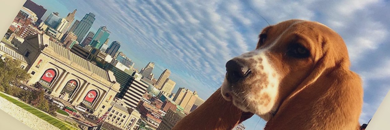 Peter Nicklin banner