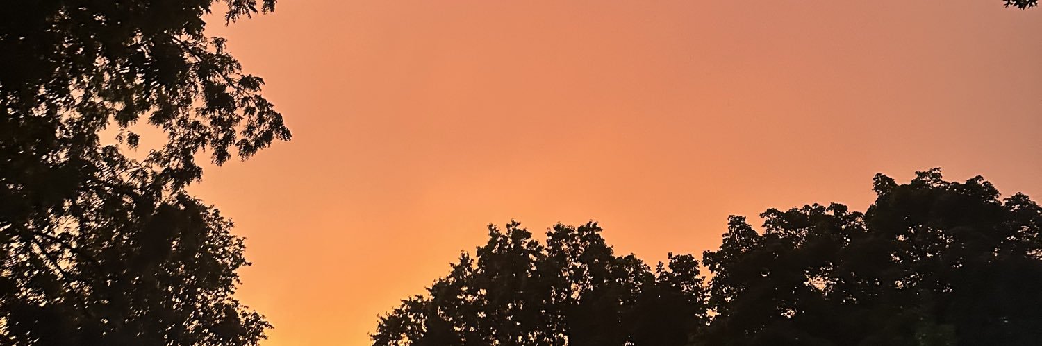 madysowle's profile banner image