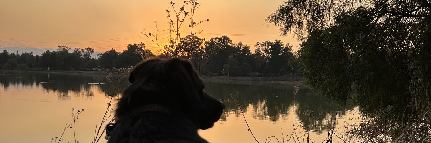so_samx's profile banner image