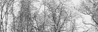 soello's profile banner image