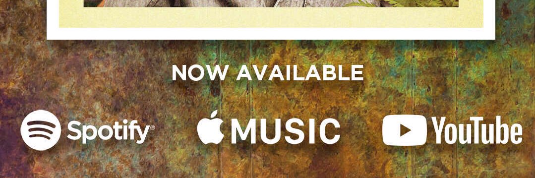 thislor's profile banner image