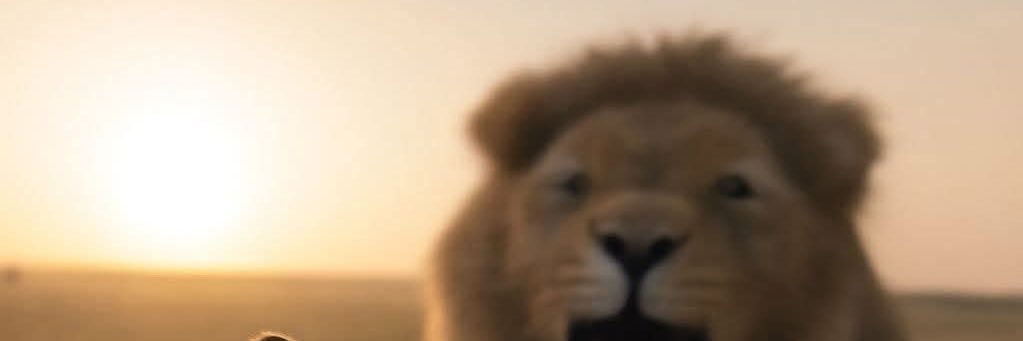 W_oods17's profile banner image