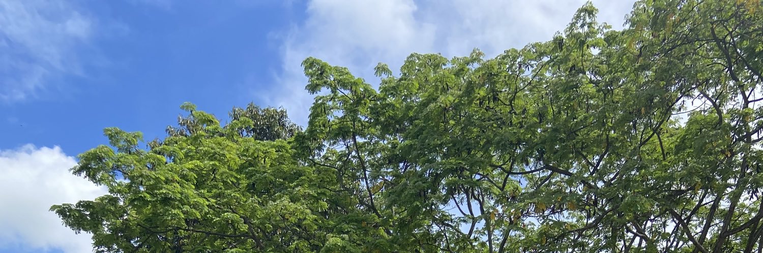 mgdominguezm's profile banner image