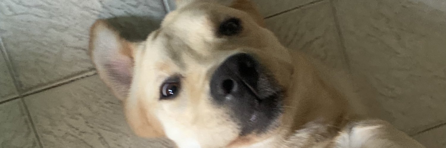 emibeello's profile banner image