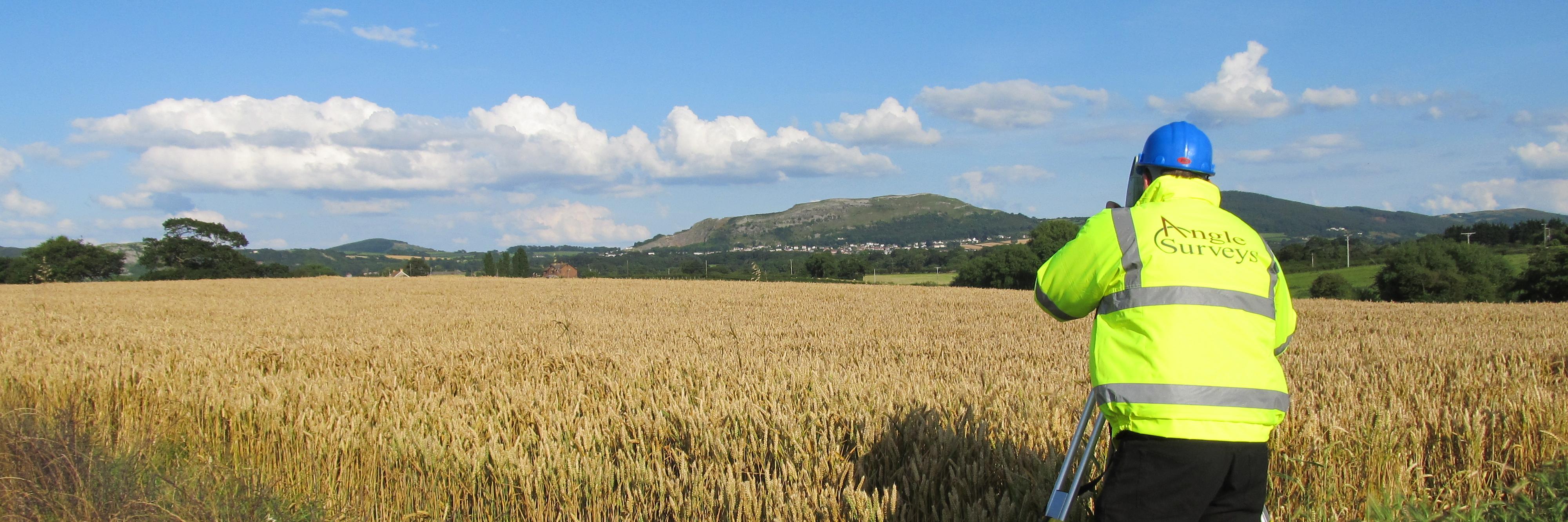 Angle Surveys banner