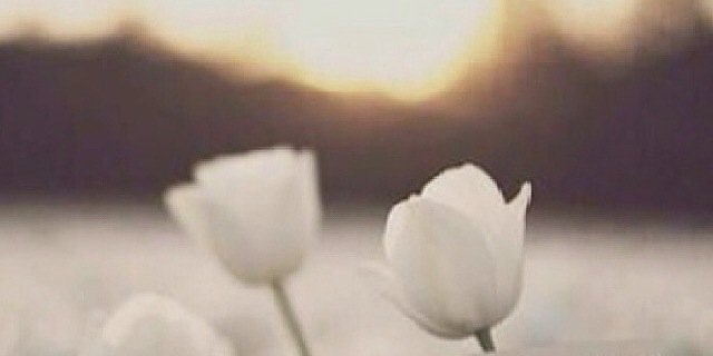 AfraaSaif's profile banner image