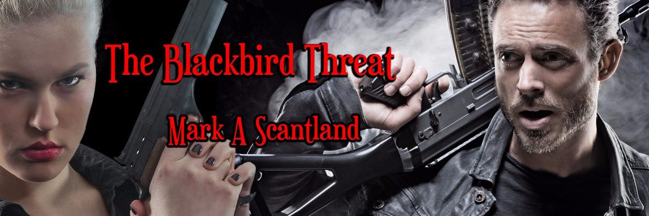 mark scantland banner