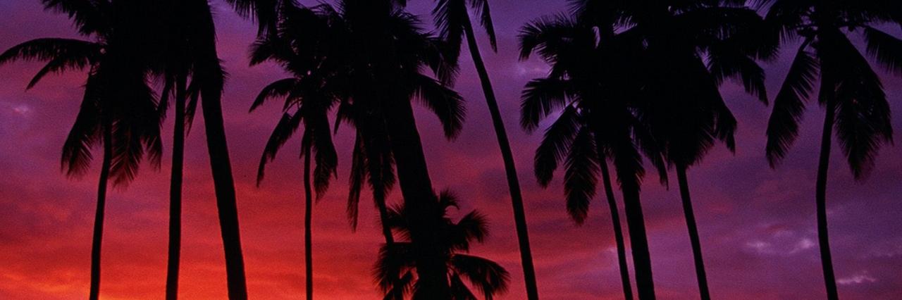qtvsrg's profile banner image
