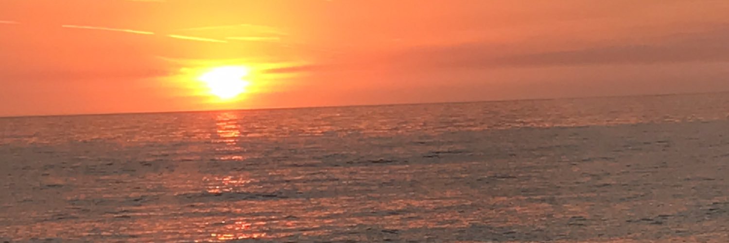 nesidaMEsther's profile banner image