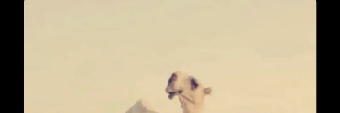 Mhamad502's profile banner image