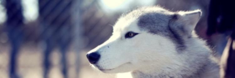 VentureLover's profile banner image