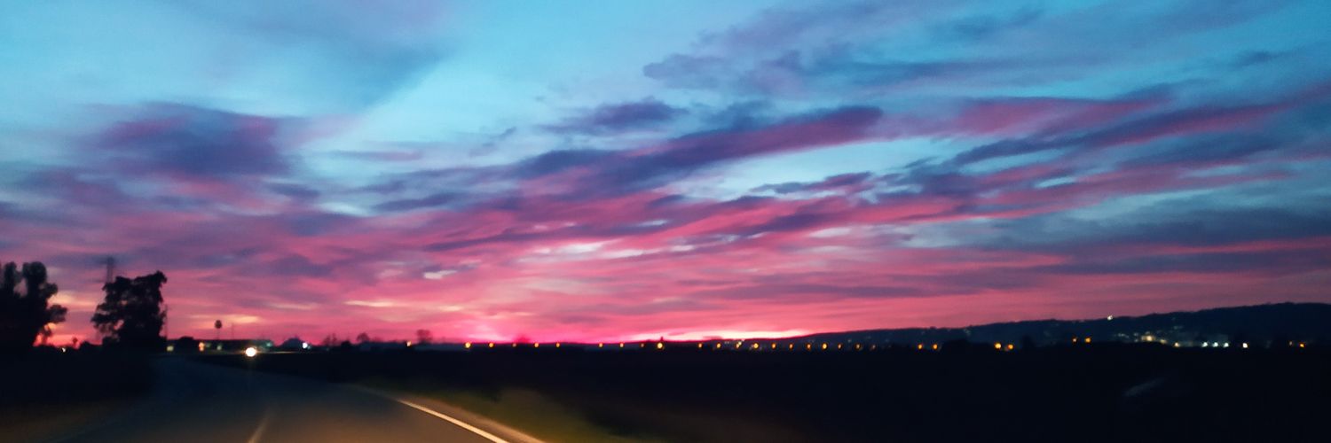Inesariza8's profile banner image