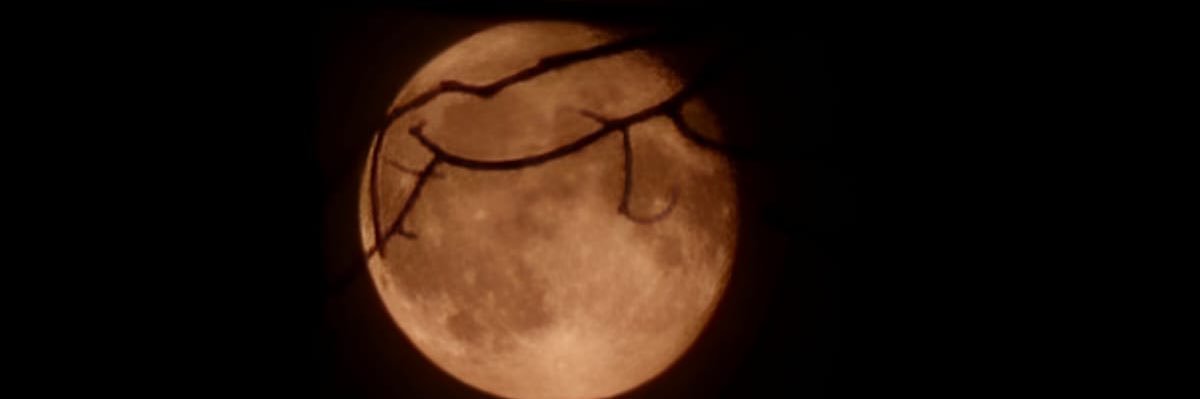 MrsDecay's profile banner image