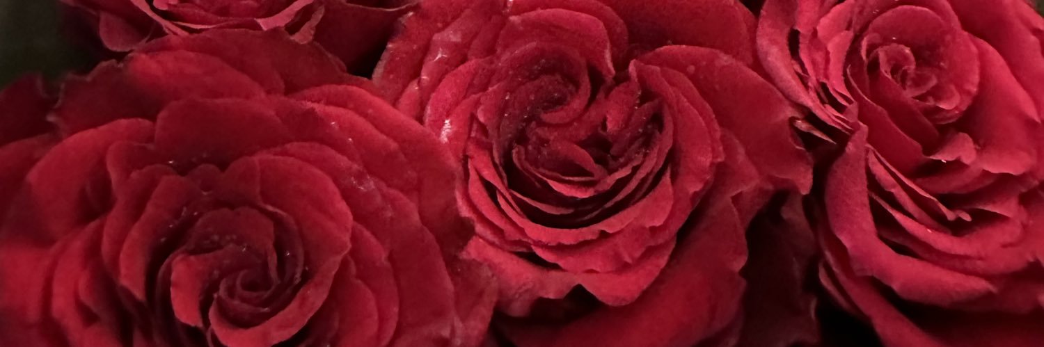 ytematuae's profile banner image