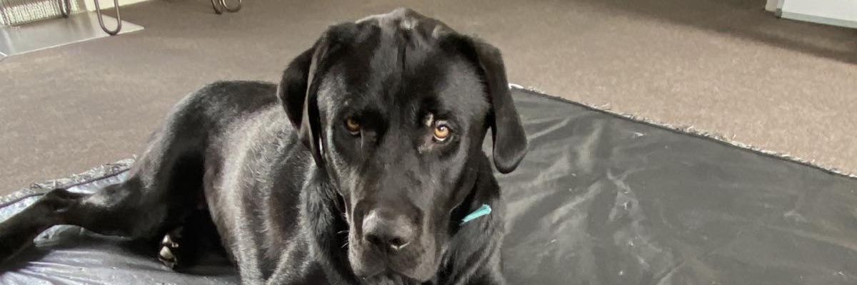 Jandals79's profile banner image