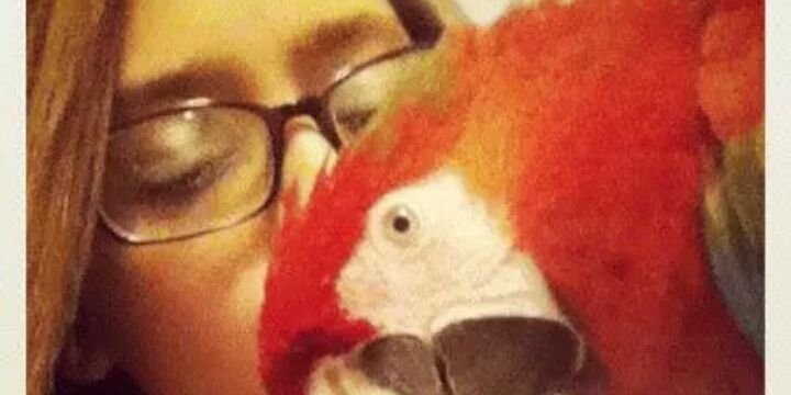 Jonsey4Life's profile banner image