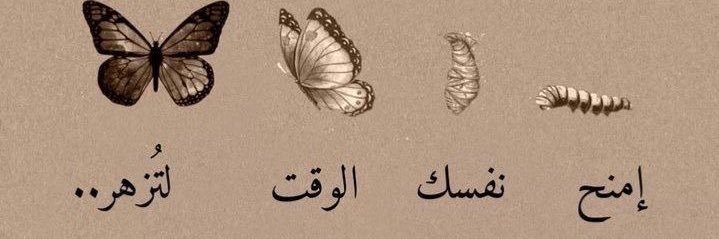 fatma_Almousa98's profile banner image