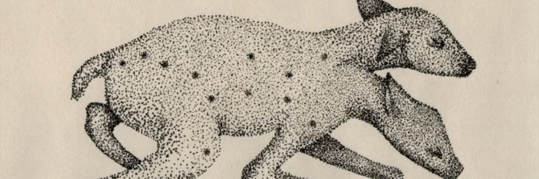 aru banner